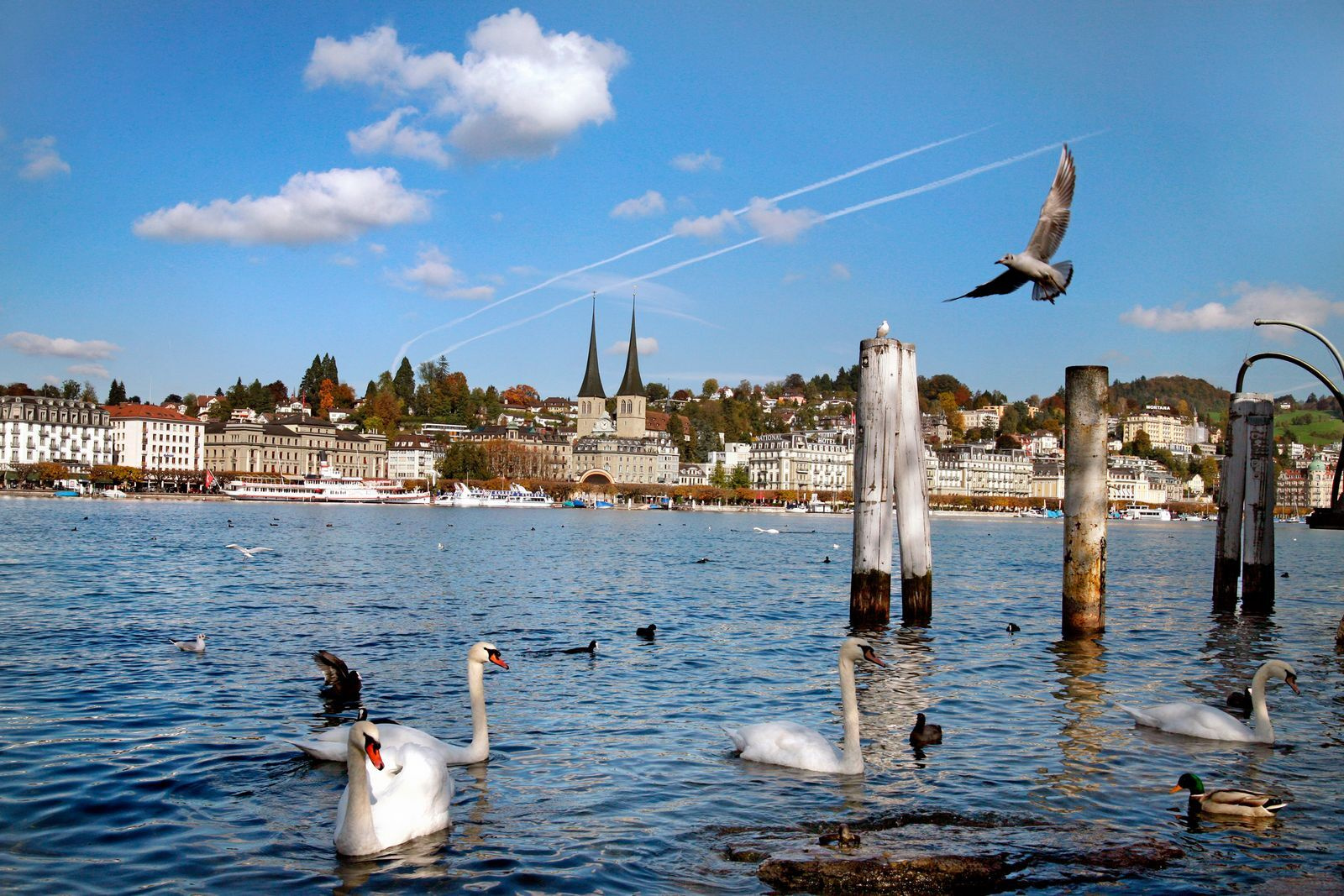 Csm hsl luzern CO luzern 42 ac24e60863